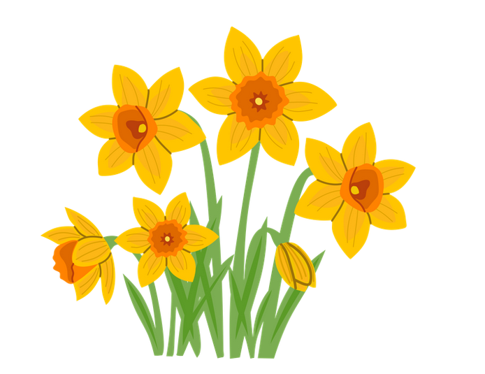 You are currently viewing Menus Cantine du 6 au 10 avril 2026